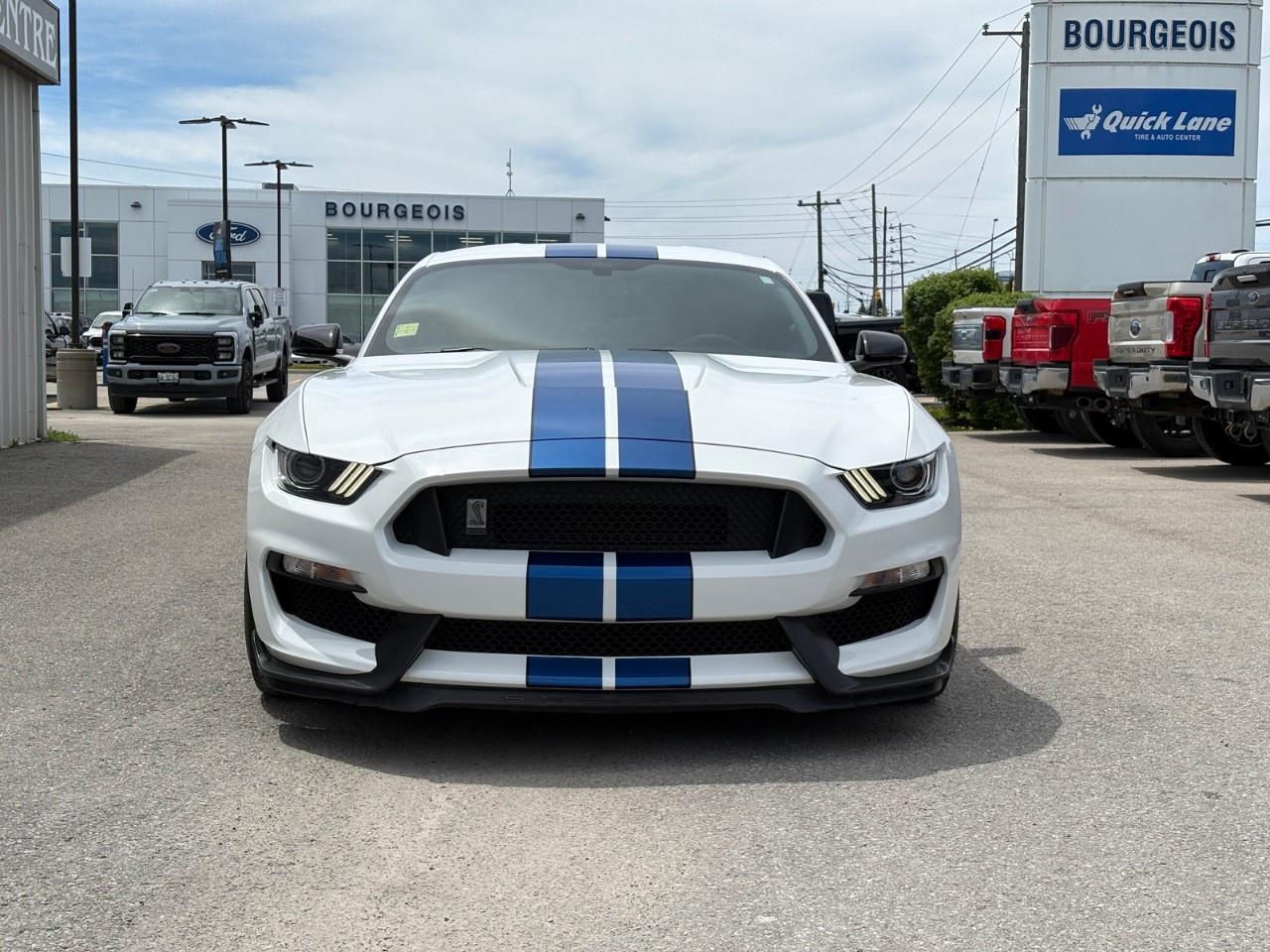 2017 Ford Mustang 2DR FASTBACK SHELBY GT350 Photo2