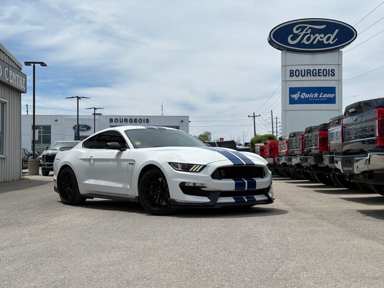 2017 Ford Mustang 2DR FASTBACK SHELBY GT350 Photo0