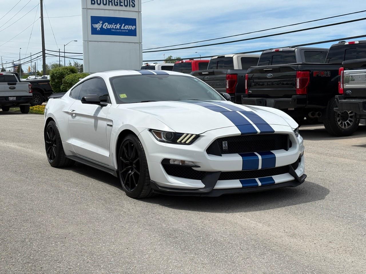 2017 Ford Mustang 2DR FASTBACK SHELBY GT350 Photo