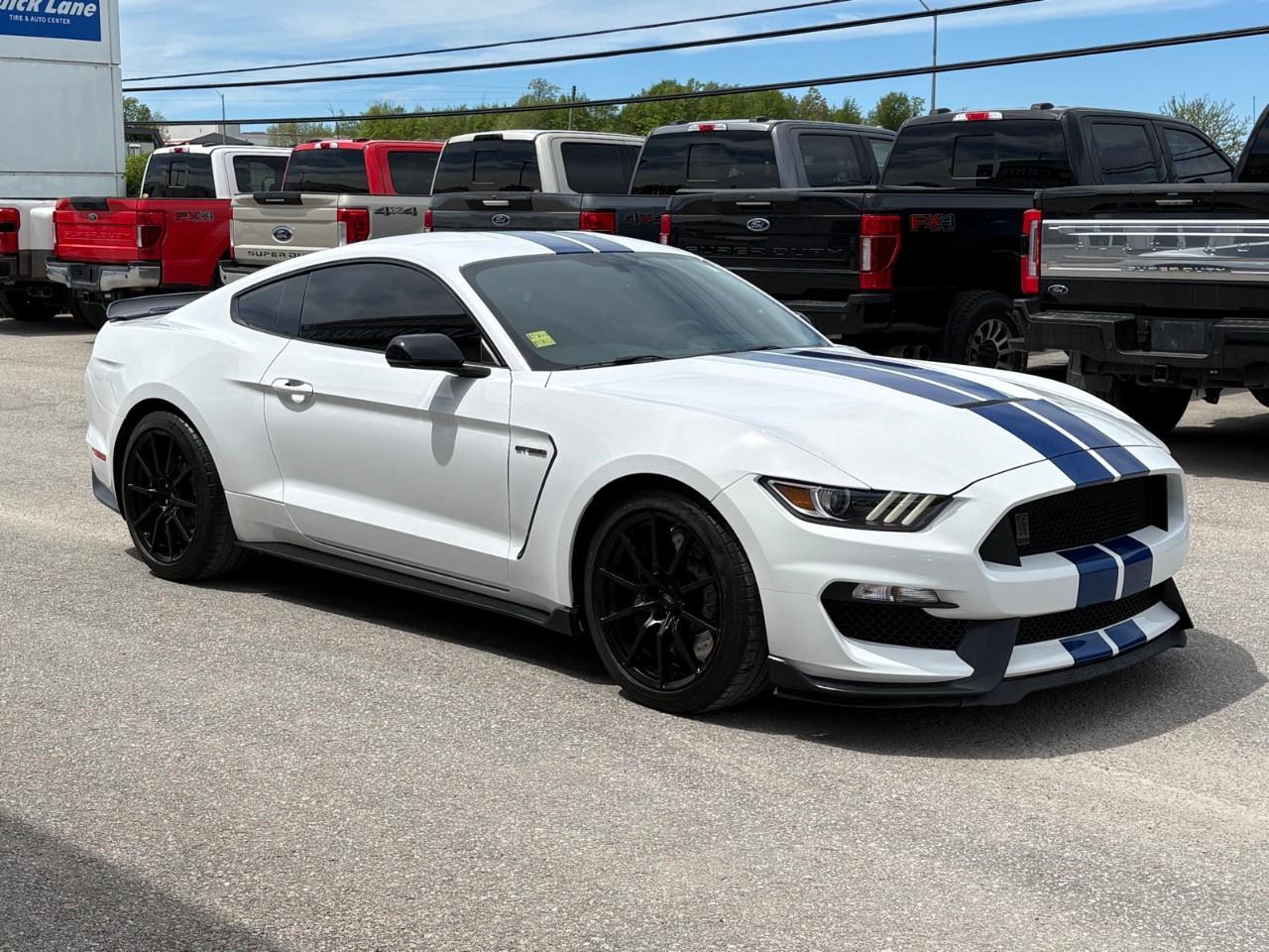 2017 Ford Mustang 2DR FASTBACK SHELBY GT350 Photo4