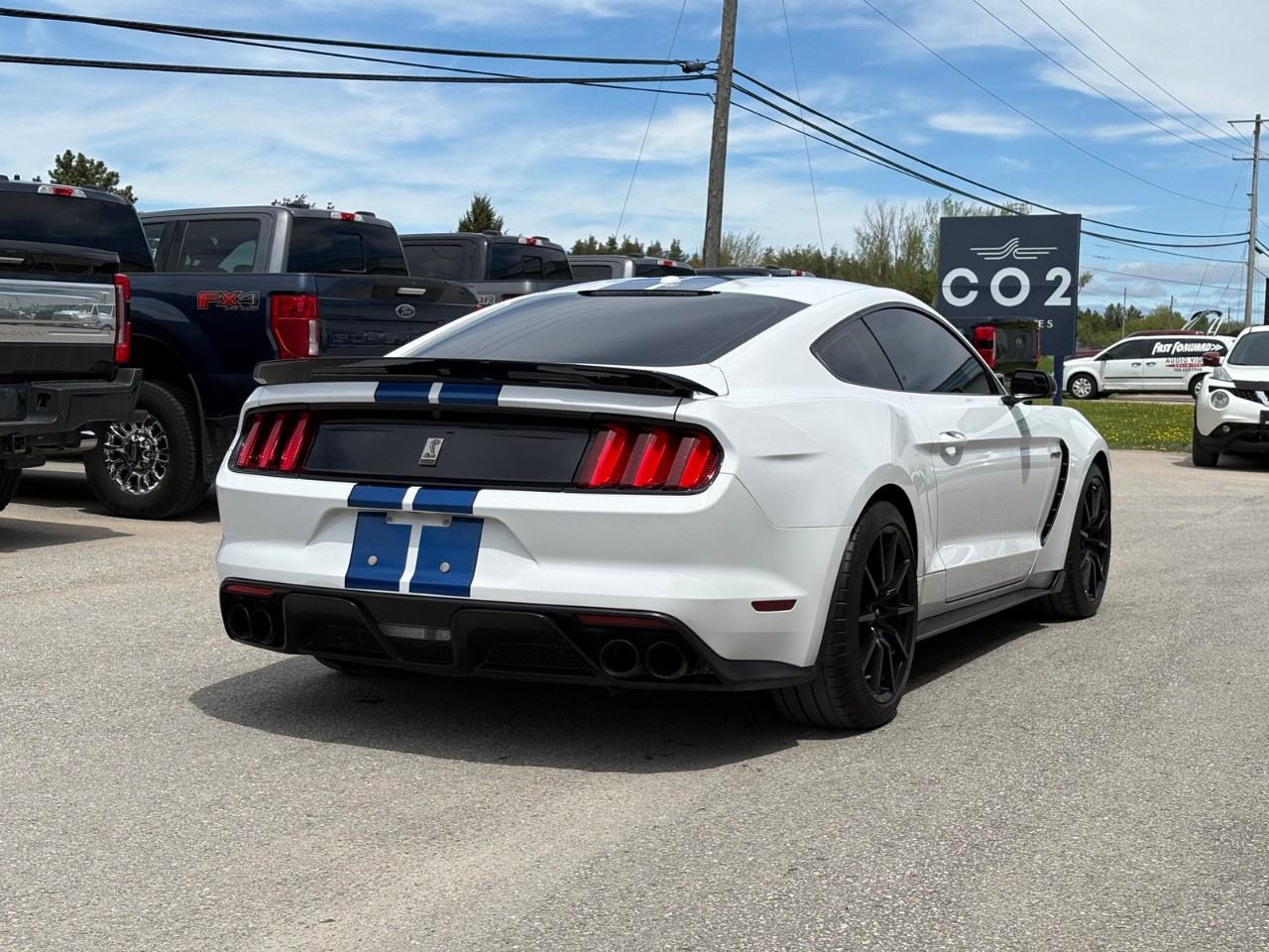 2017 Ford Mustang 2DR FASTBACK SHELBY GT350 Photo