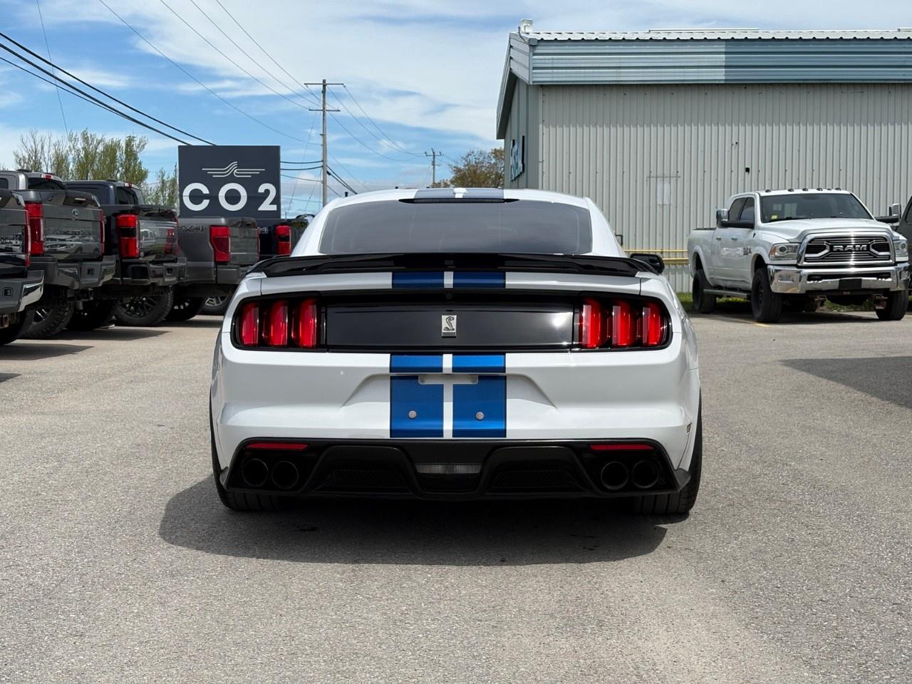 2017 Ford Mustang 2DR FASTBACK SHELBY GT350 Photo