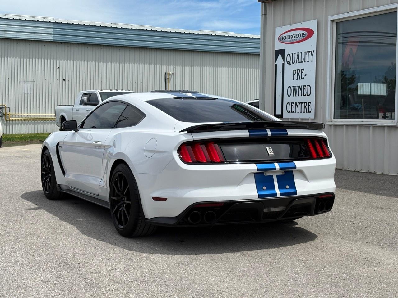 2017 Ford Mustang 2DR FASTBACK SHELBY GT350 Photo