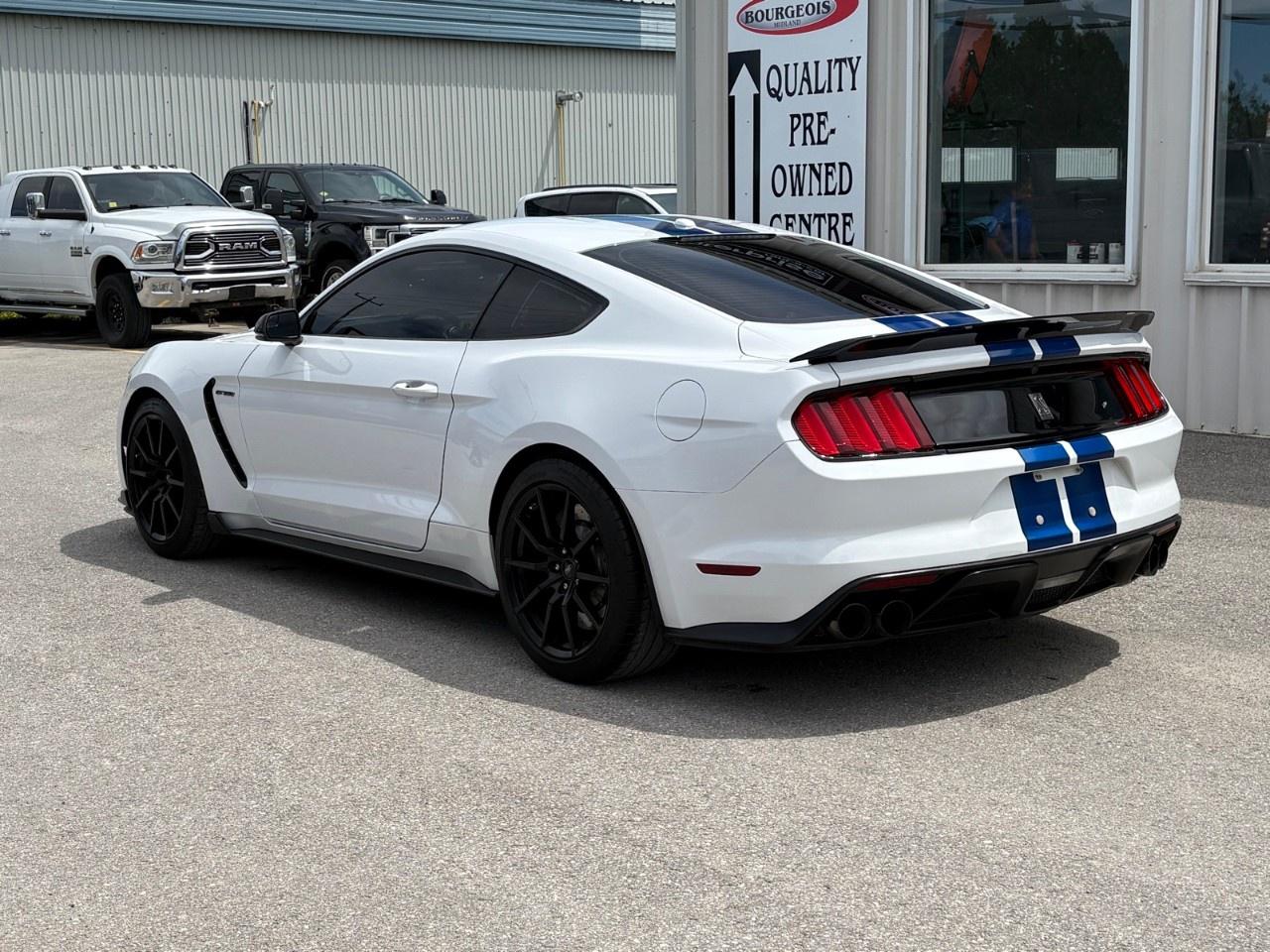 2017 Ford Mustang 2DR FASTBACK SHELBY GT350 Photo
