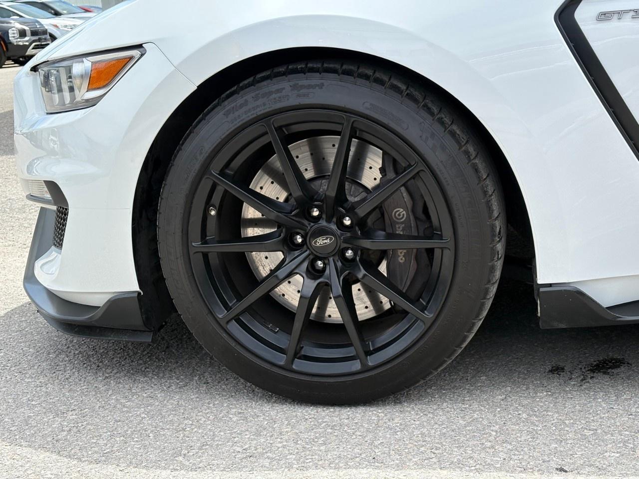2017 Ford Mustang 2DR FASTBACK SHELBY GT350 Photo