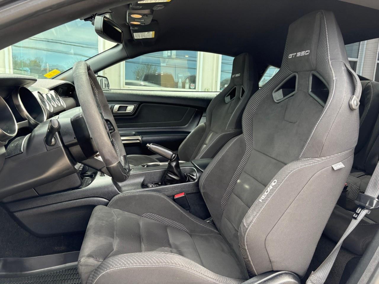 2017 Ford Mustang 2DR FASTBACK SHELBY GT350 Photo