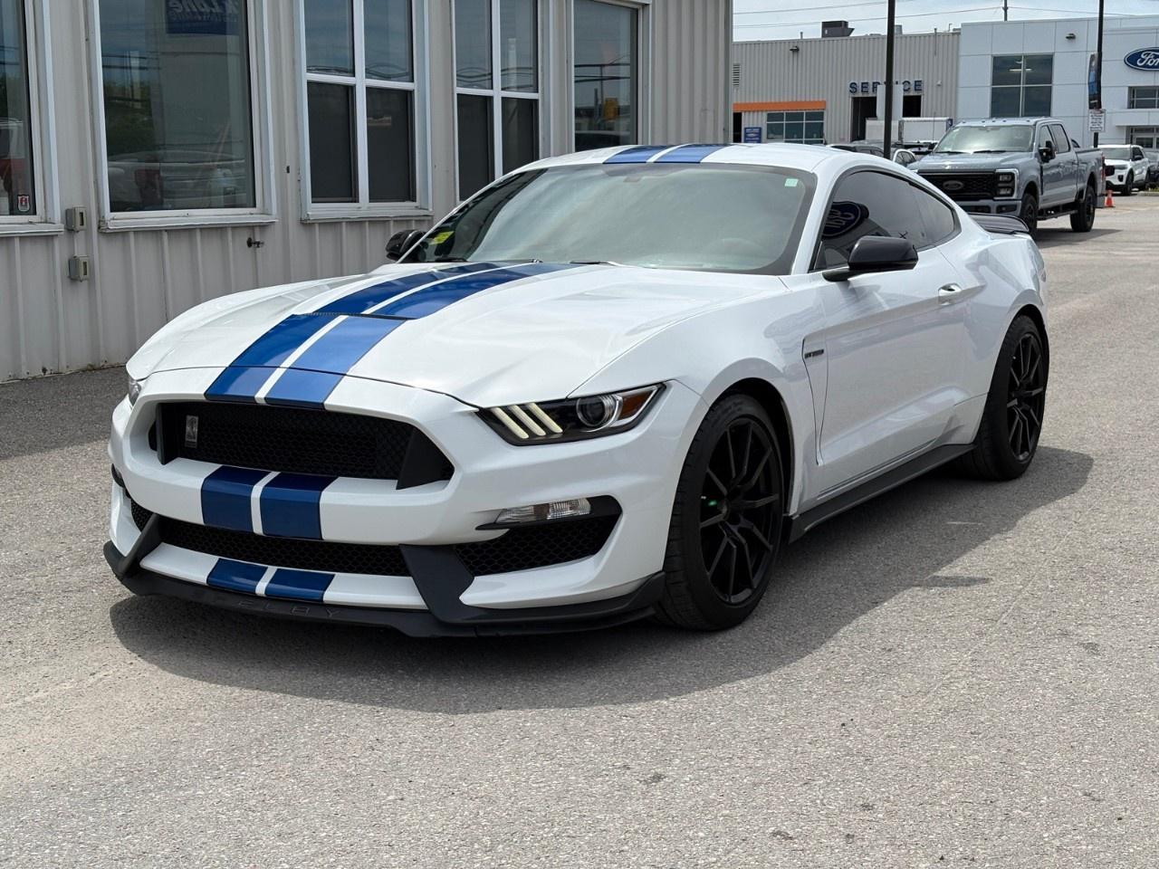 2017 Ford Mustang 2DR FASTBACK SHELBY GT350 Photo