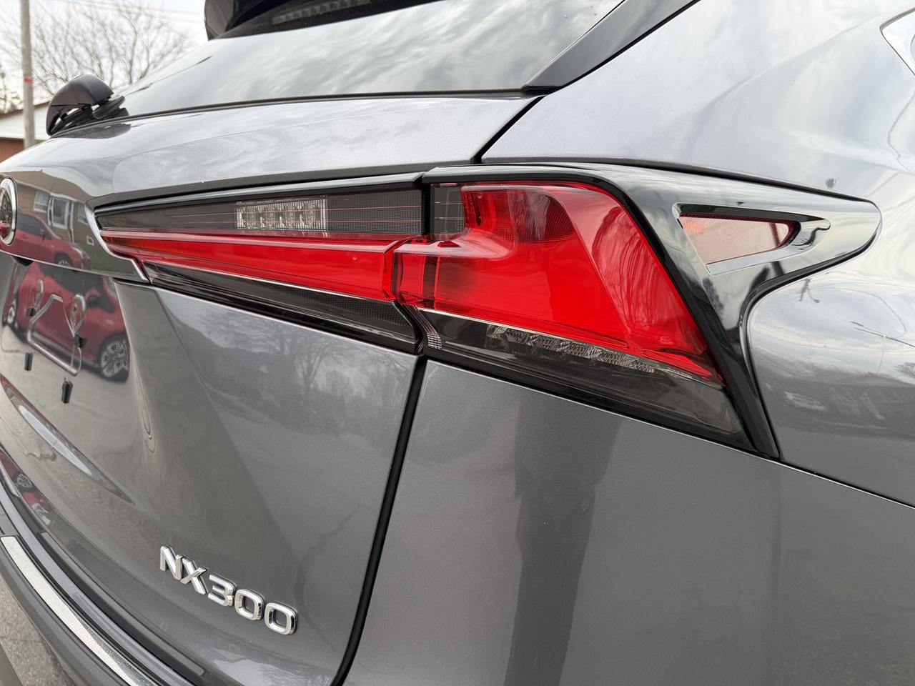 2018 Lexus NX NX 300 Auto Photo