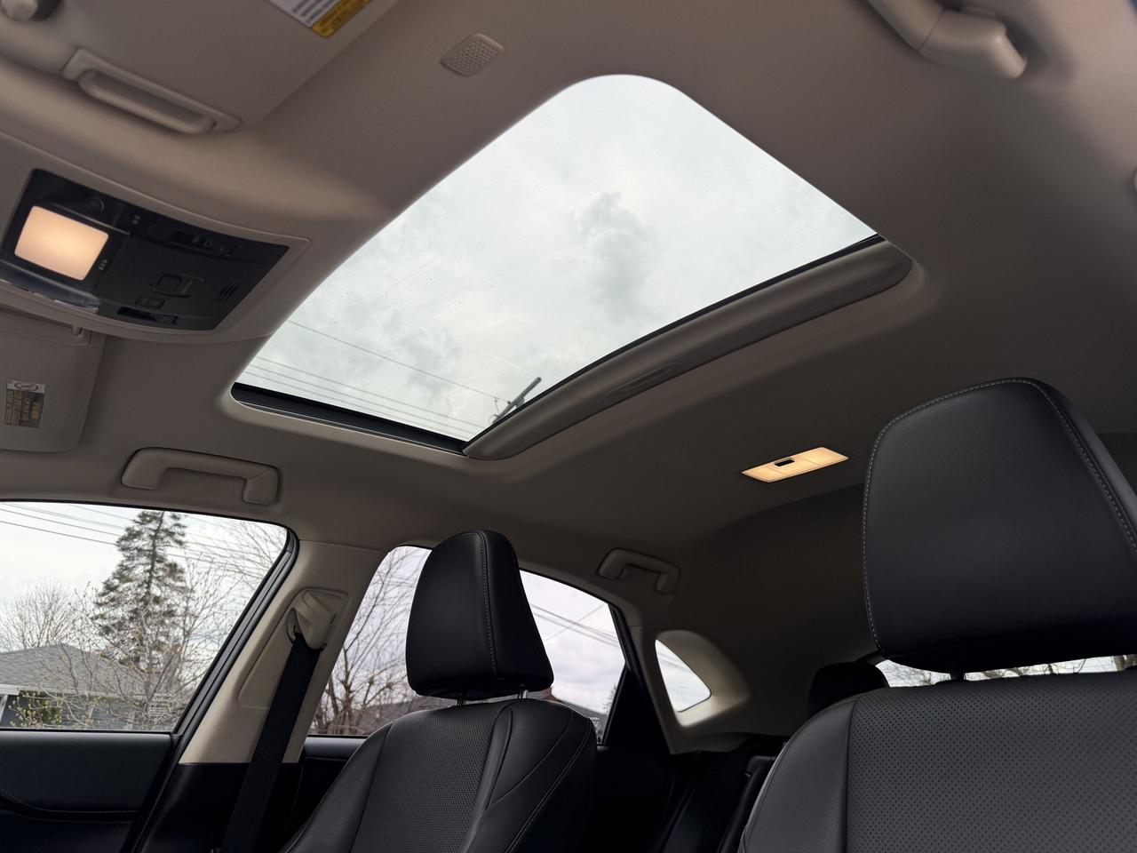 2018 Lexus NX NX 300 Auto Photo