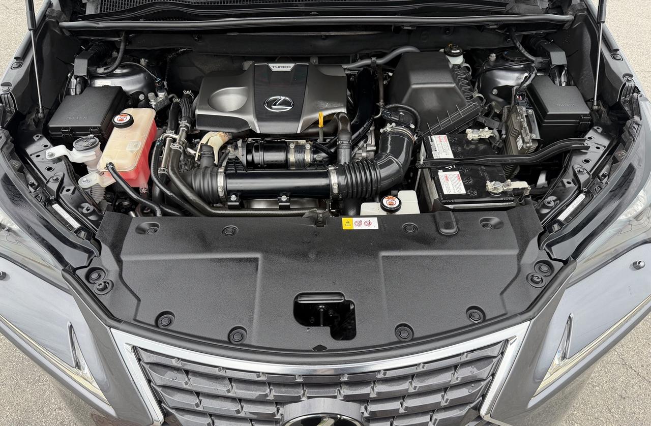 2018 Lexus NX NX 300 Auto Photo