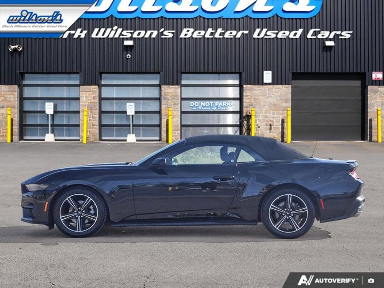 2025 Ford Mustang EcoBoost Premium | Leather | Heated Wheel + Seats | CarPlay + Android | Rear Camera | and More ! Photo