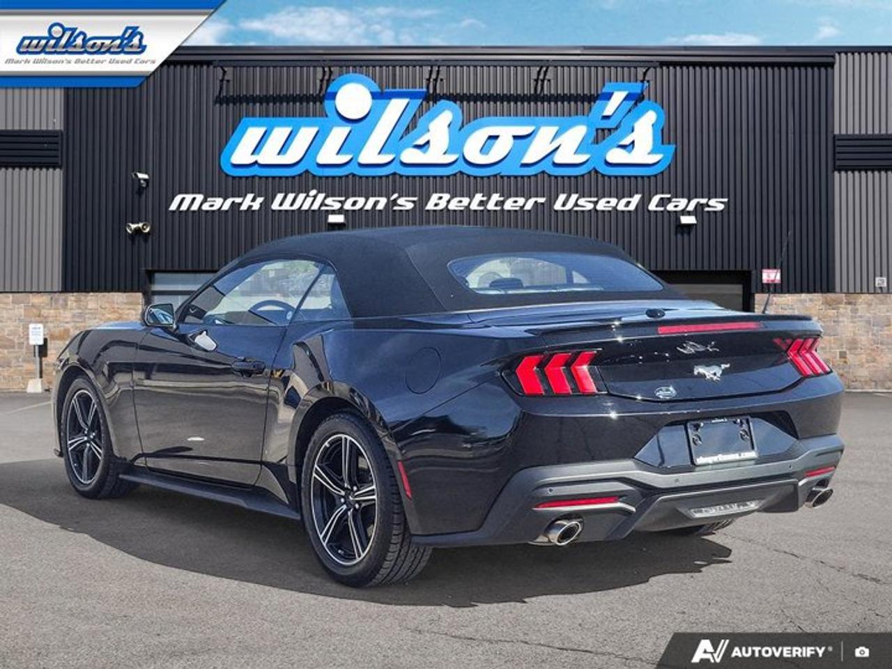 2025 Ford Mustang EcoBoost Premium | Leather | Heated Wheel + Seats | CarPlay + Android | Rear Camera | and More ! Photo2