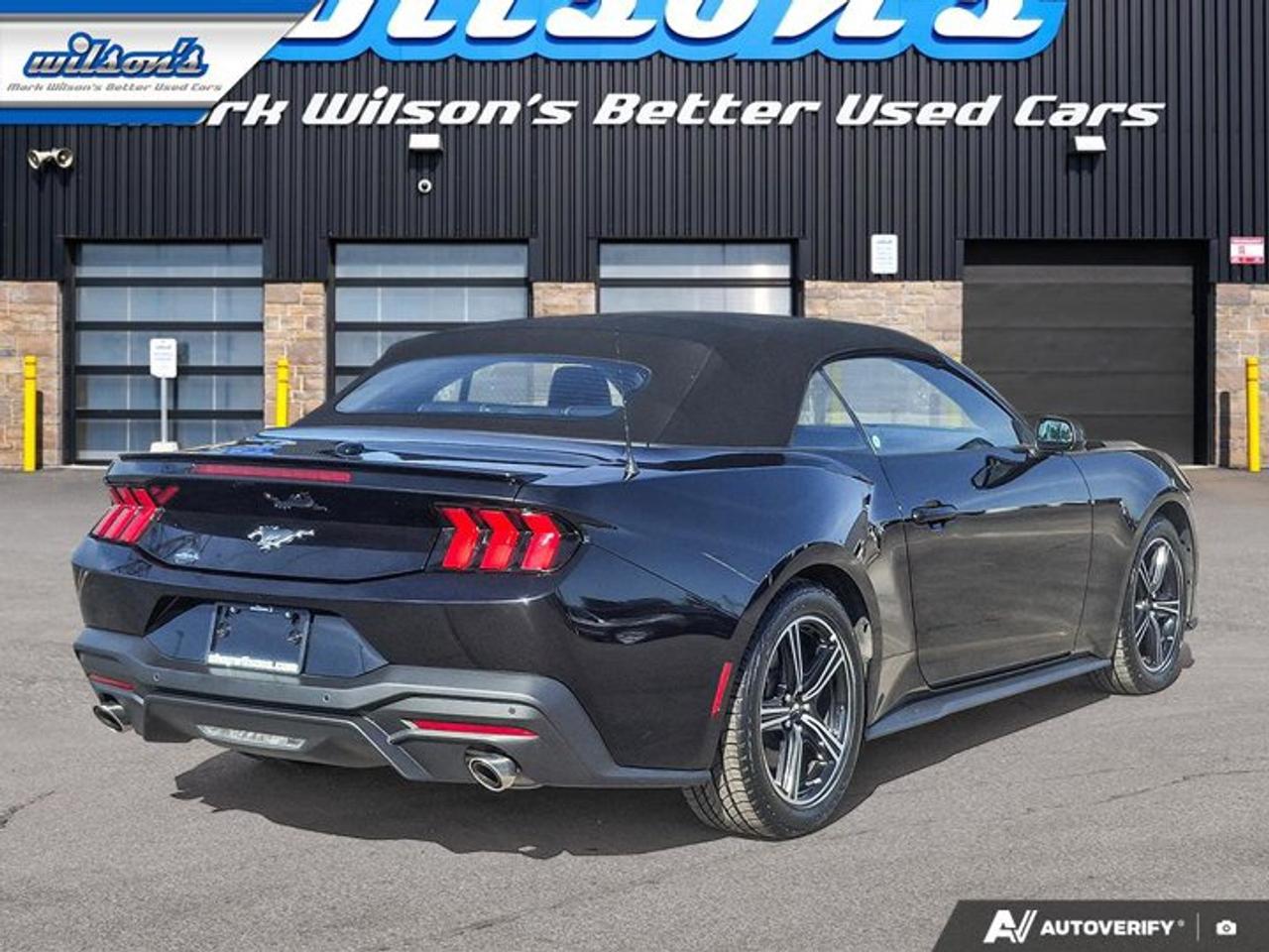 2025 Ford Mustang EcoBoost Premium | Leather | Heated Wheel + Seats | CarPlay + Android | Rear Camera | and More ! Photo4