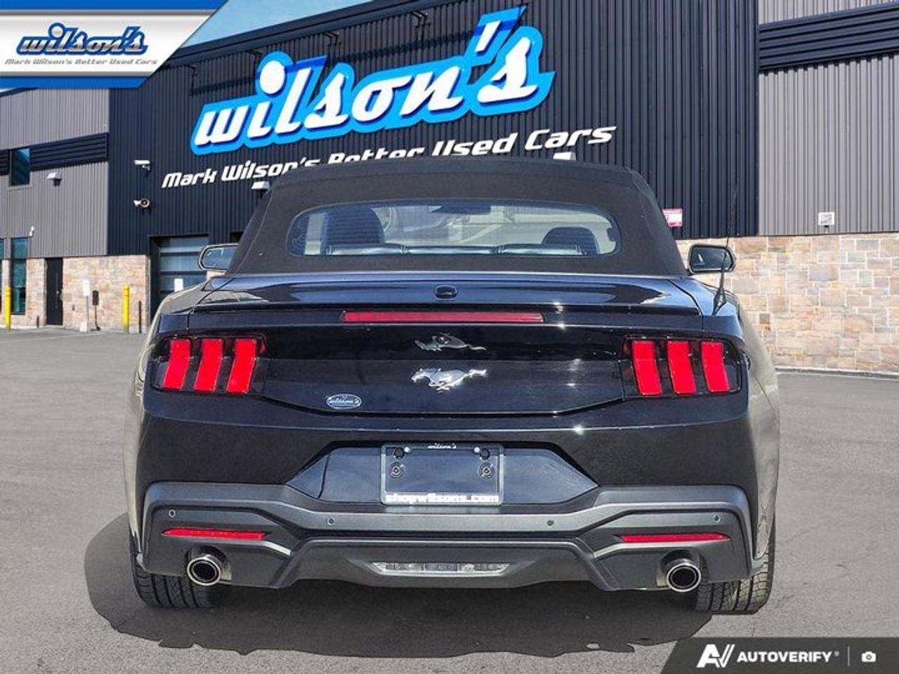 2025 Ford Mustang EcoBoost Premium | Leather | Heated Wheel + Seats | CarPlay + Android | Rear Camera | and More ! Photo
