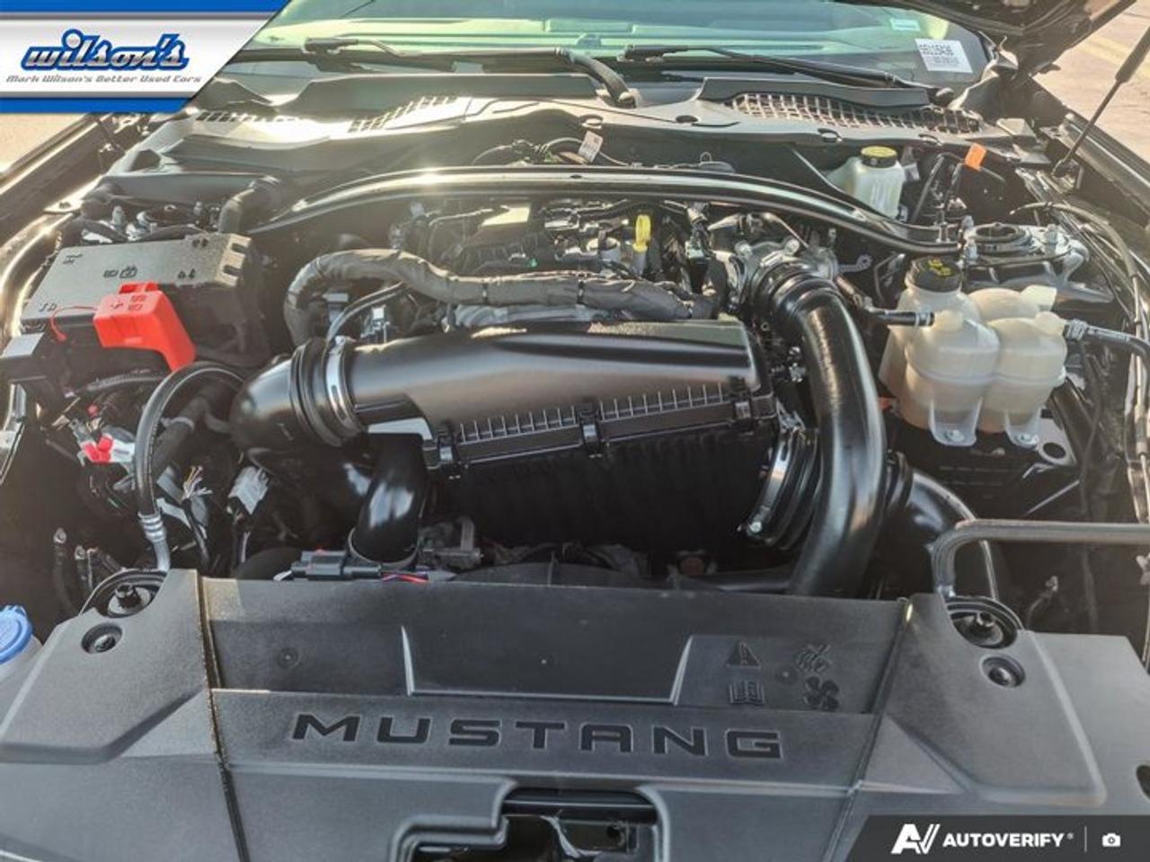 2025 Ford Mustang EcoBoost Premium | Leather | Heated Wheel + Seats | CarPlay + Android | Rear Camera | and More ! Photo