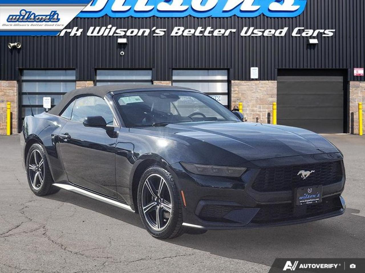 2025 Ford Mustang EcoBoost Premium | Leather | Heated Wheel + Seats | CarPlay + Android | Rear Camera | and More ! Photo