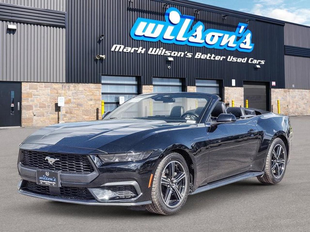 2025 Ford Mustang Convertible EcoBoost Premium | Leather | Heated Wheel + Seats | CarPlay + Android | Rear Camera Photo0
