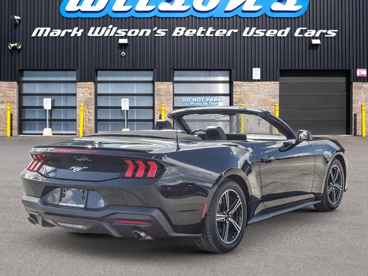 2025 Ford Mustang Convertible EcoBoost Premium | Leather | Heated Wheel + Seats | CarPlay + Android | Rear Camera Photo