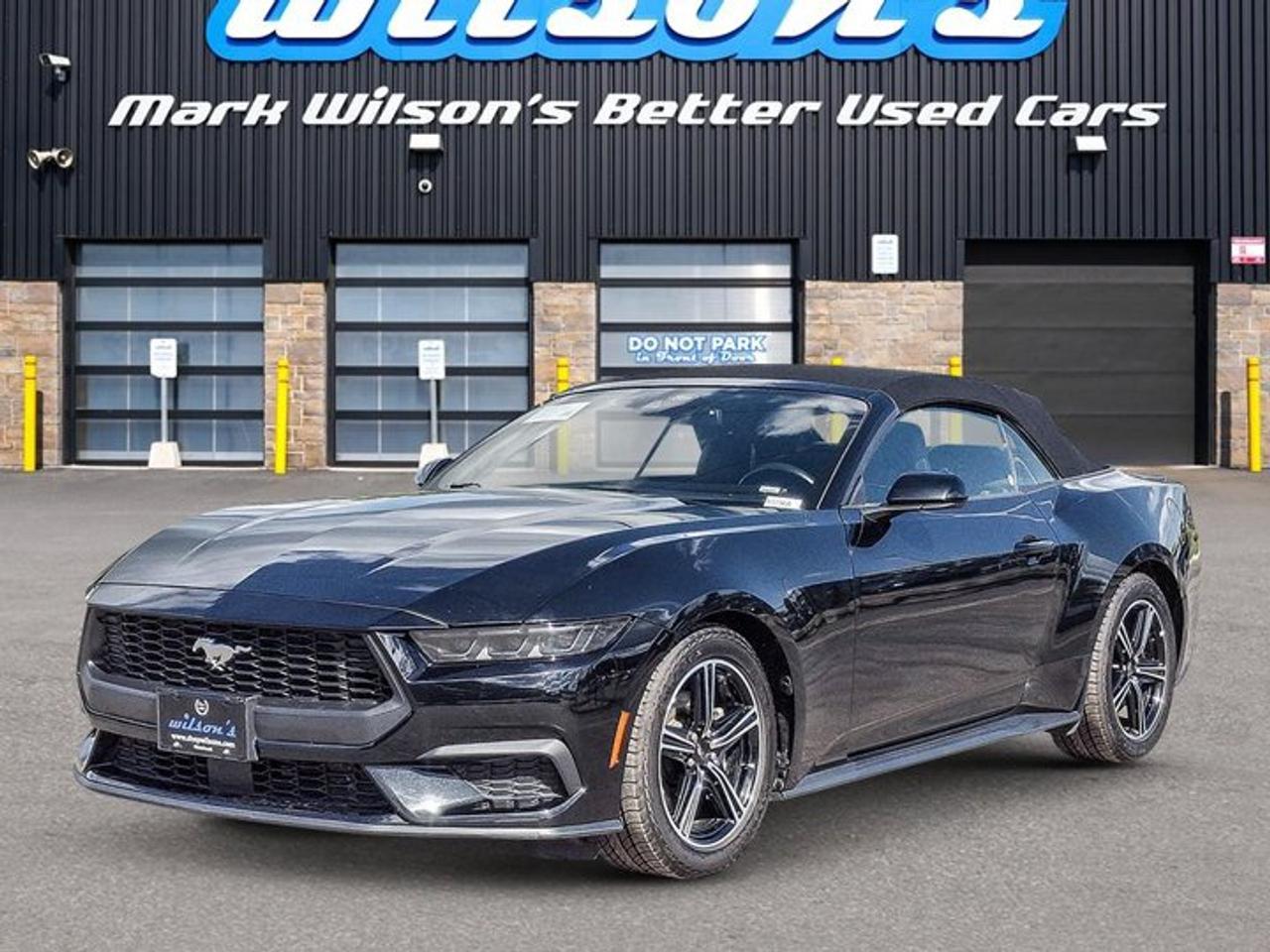 2025 Ford Mustang Convertible EcoBoost Premium | Leather | Heated Wheel + Seats | CarPlay + Android | Rear Camera Photo
