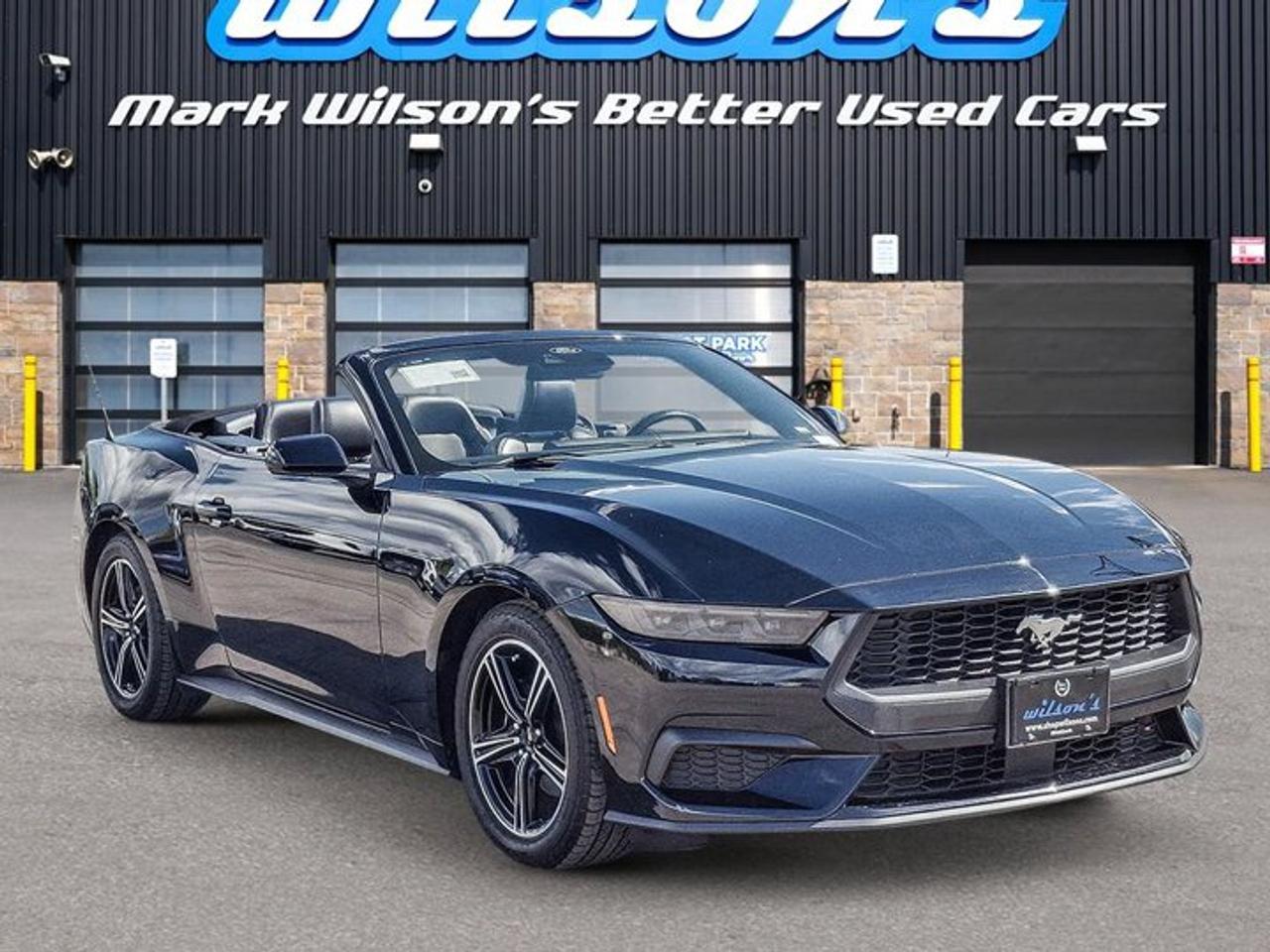 2025 Ford Mustang Convertible EcoBoost Premium | Leather | Heated Wheel + Seats | CarPlay + Android | Rear Camera Photo