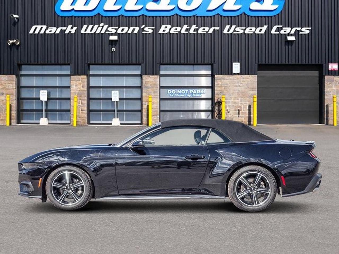 2025 Ford Mustang Convertible EcoBoost Premium | Leather | Heated Wheel + Seats | CarPlay + Android | Rear Camera Photo