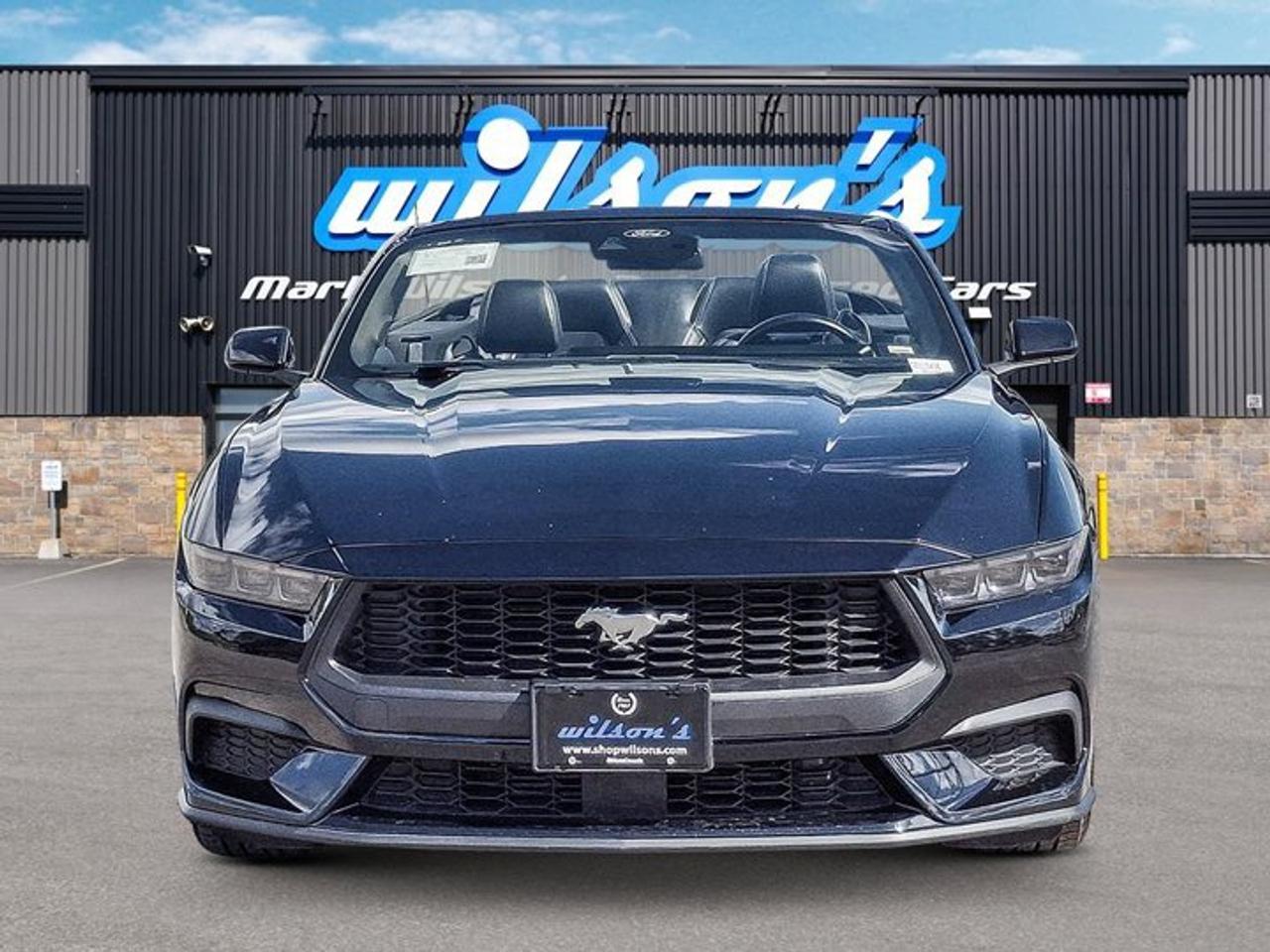 2025 Ford Mustang Convertible EcoBoost Premium | Leather | Heated Wheel + Seats | CarPlay + Android | Rear Camera Photo