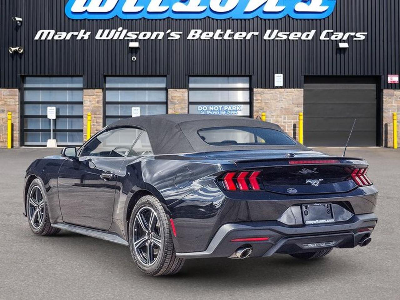 2025 Ford Mustang Convertible EcoBoost Premium | Leather | Heated Wheel + Seats | CarPlay + Android | Rear Camera Photo