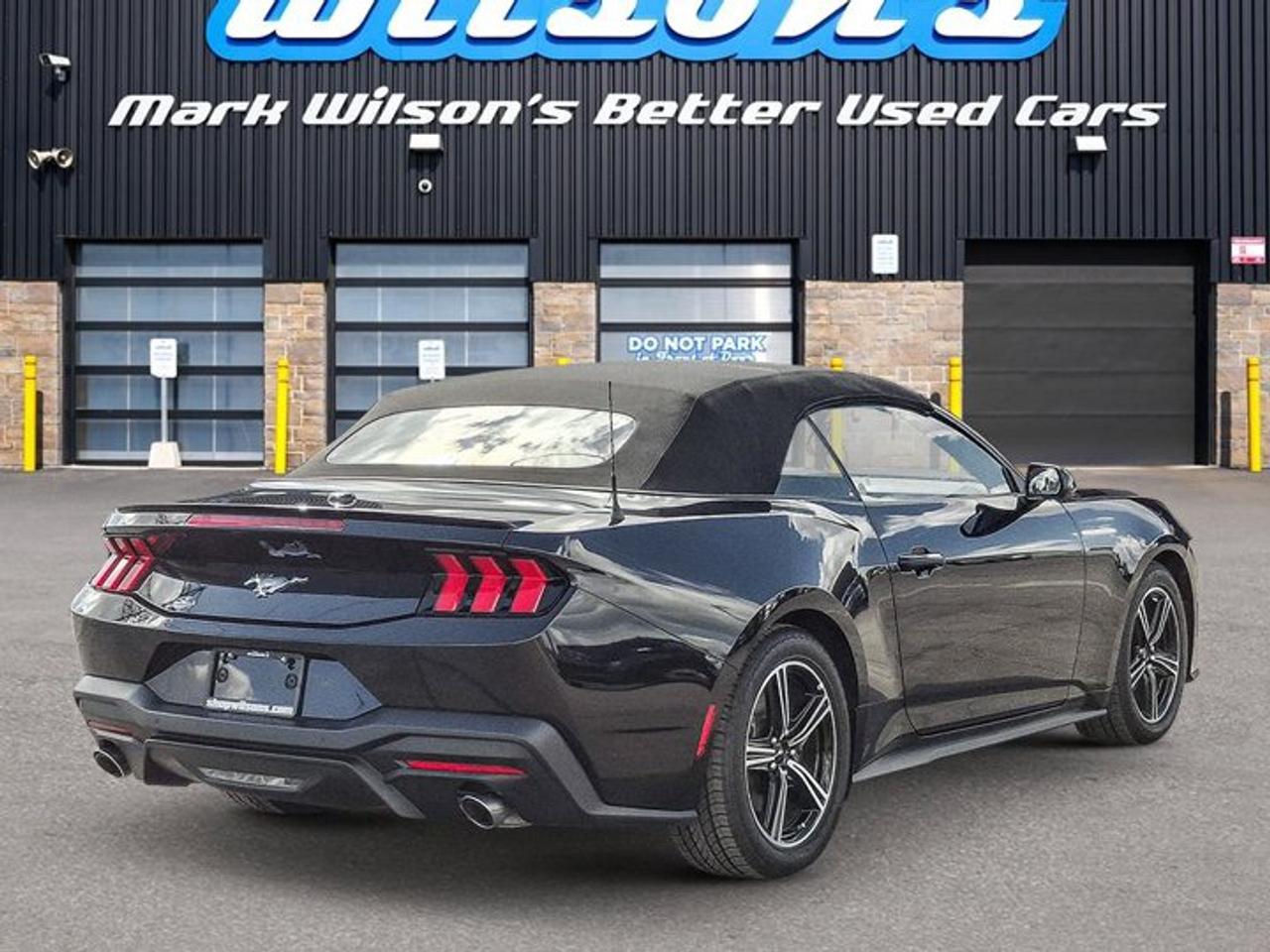 2025 Ford Mustang Convertible EcoBoost Premium | Leather | Heated Wheel + Seats | CarPlay + Android | Rear Camera Photo
