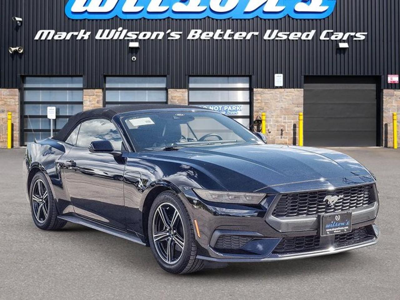 2025 Ford Mustang Convertible EcoBoost Premium | Leather | Heated Wheel + Seats | CarPlay + Android | Rear Camera Photo