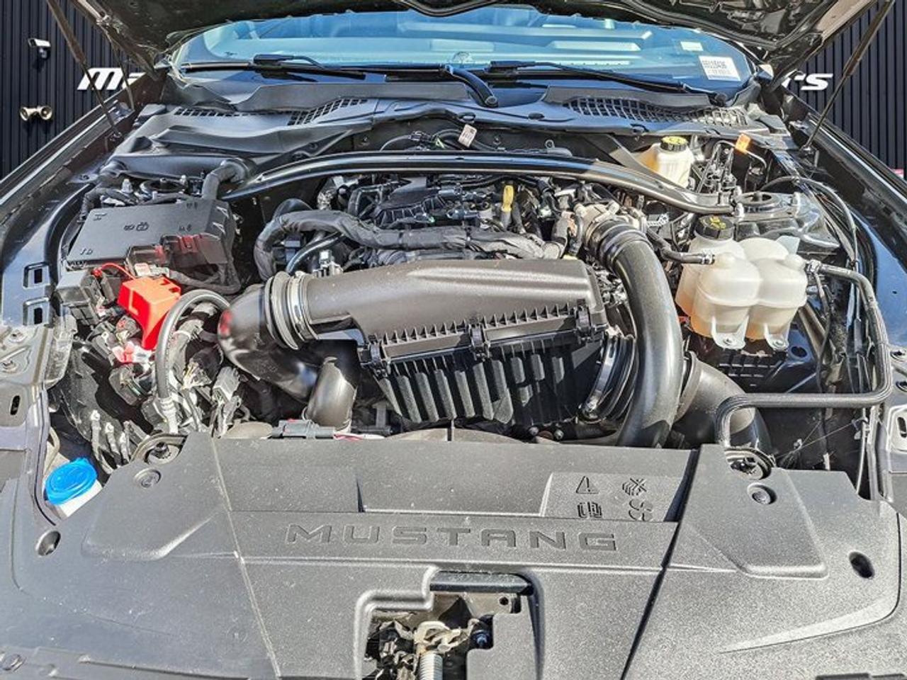 2025 Ford Mustang Convertible EcoBoost Premium | Leather | Heated Wheel + Seats | CarPlay + Android | Rear Camera Photo