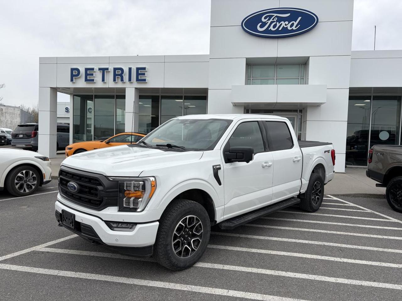 2023 Ford F-150 XLT Photo