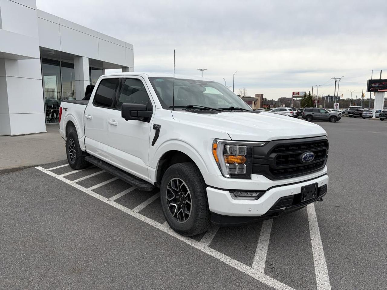 2023 Ford F-150 XLT Photo