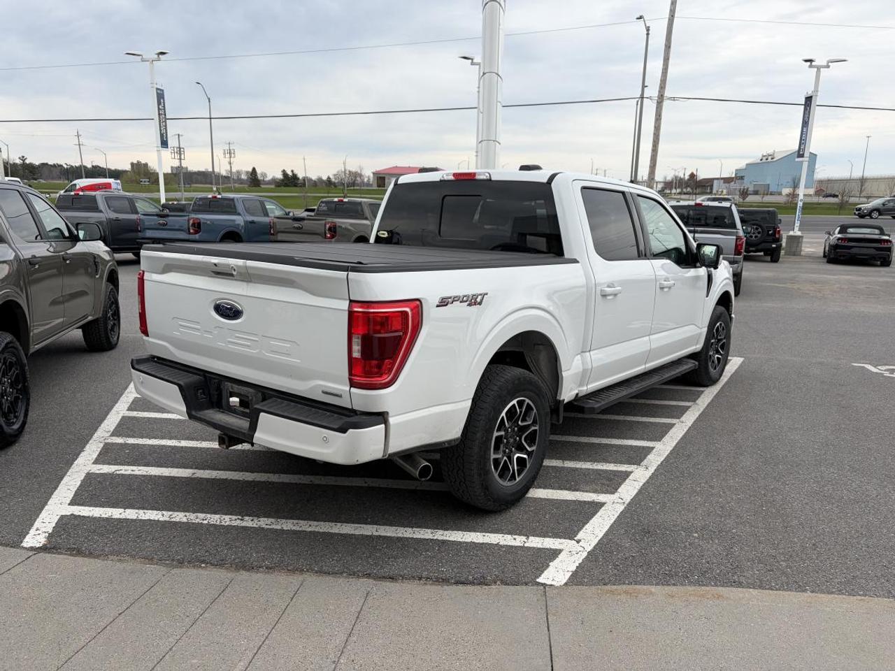 2023 Ford F-150 XLT Photo