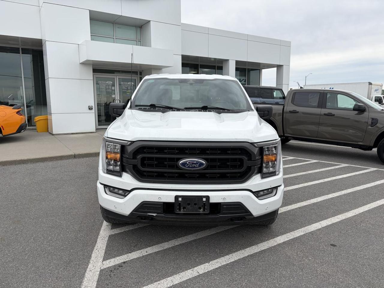 2023 Ford F-150 XLT Photo