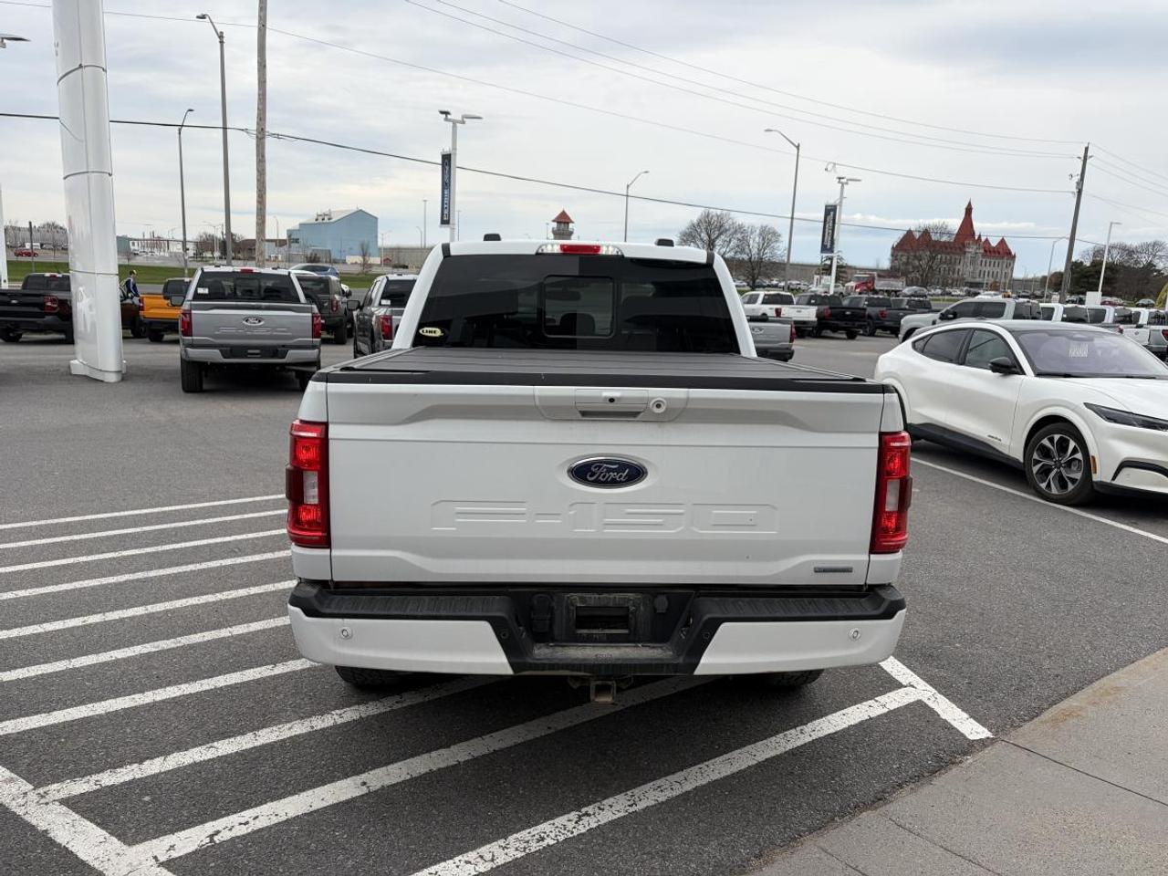 2023 Ford F-150 XLT Photo