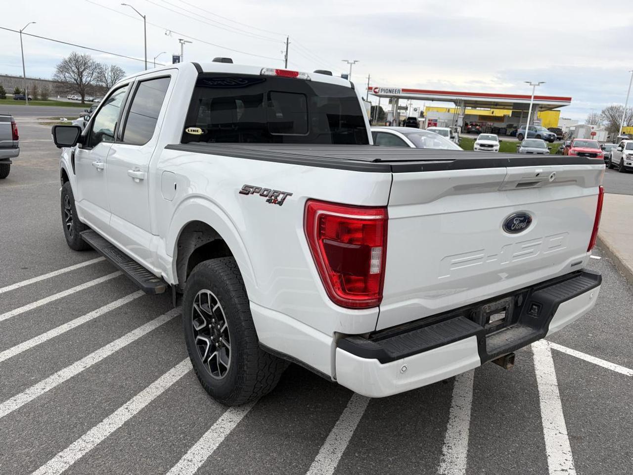 2023 Ford F-150 XLT Photo