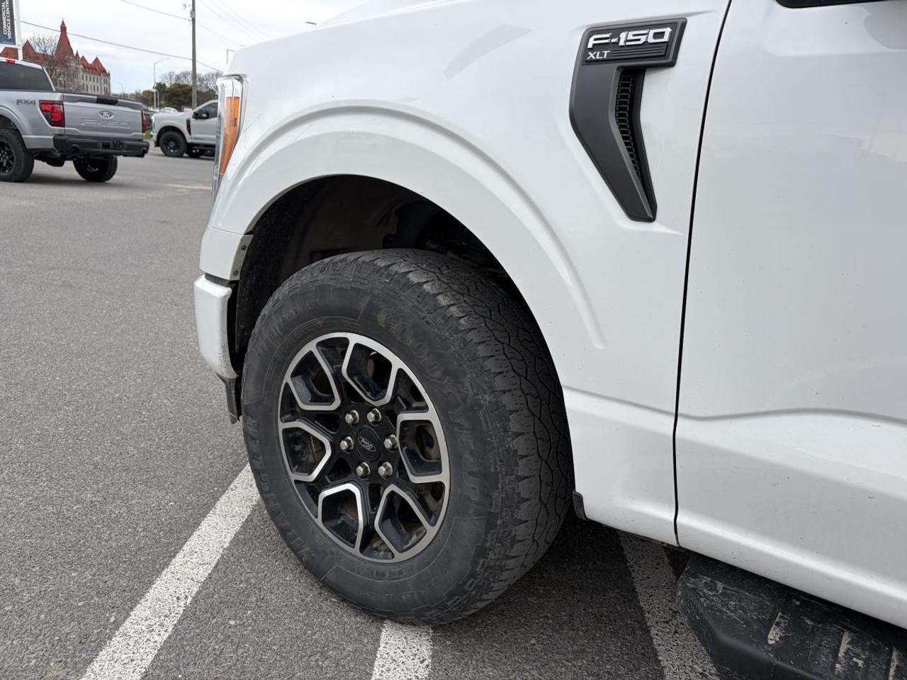 2023 Ford F-150 XLT Photo