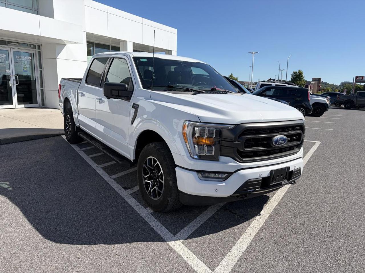 2023 Ford F-150 XLT Photo