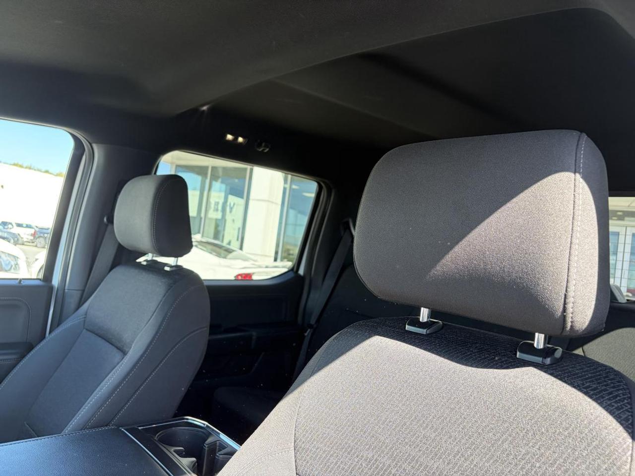 2023 Ford F-150 XLT Photo