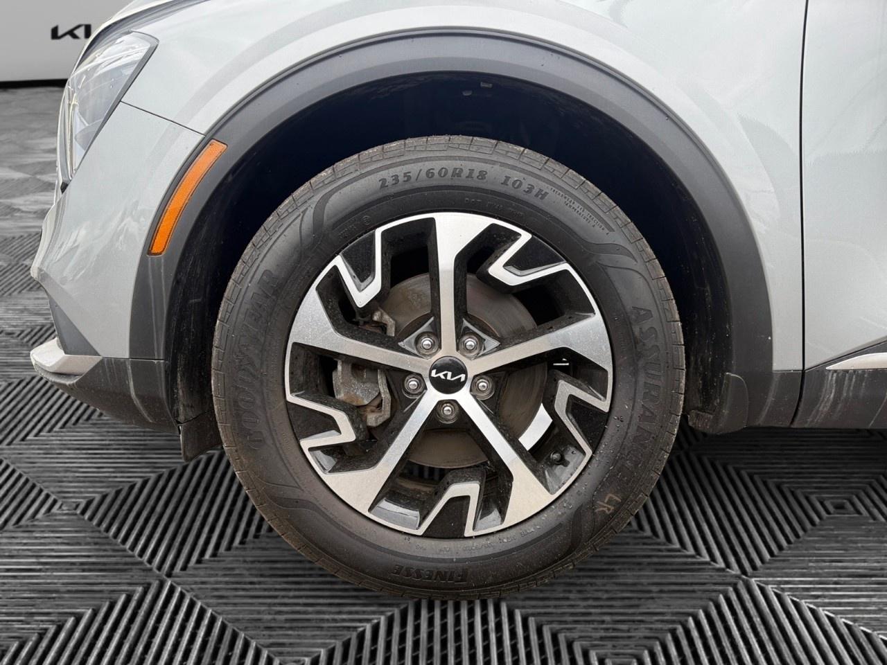 2024 Kia Sportage EX AWD Photo