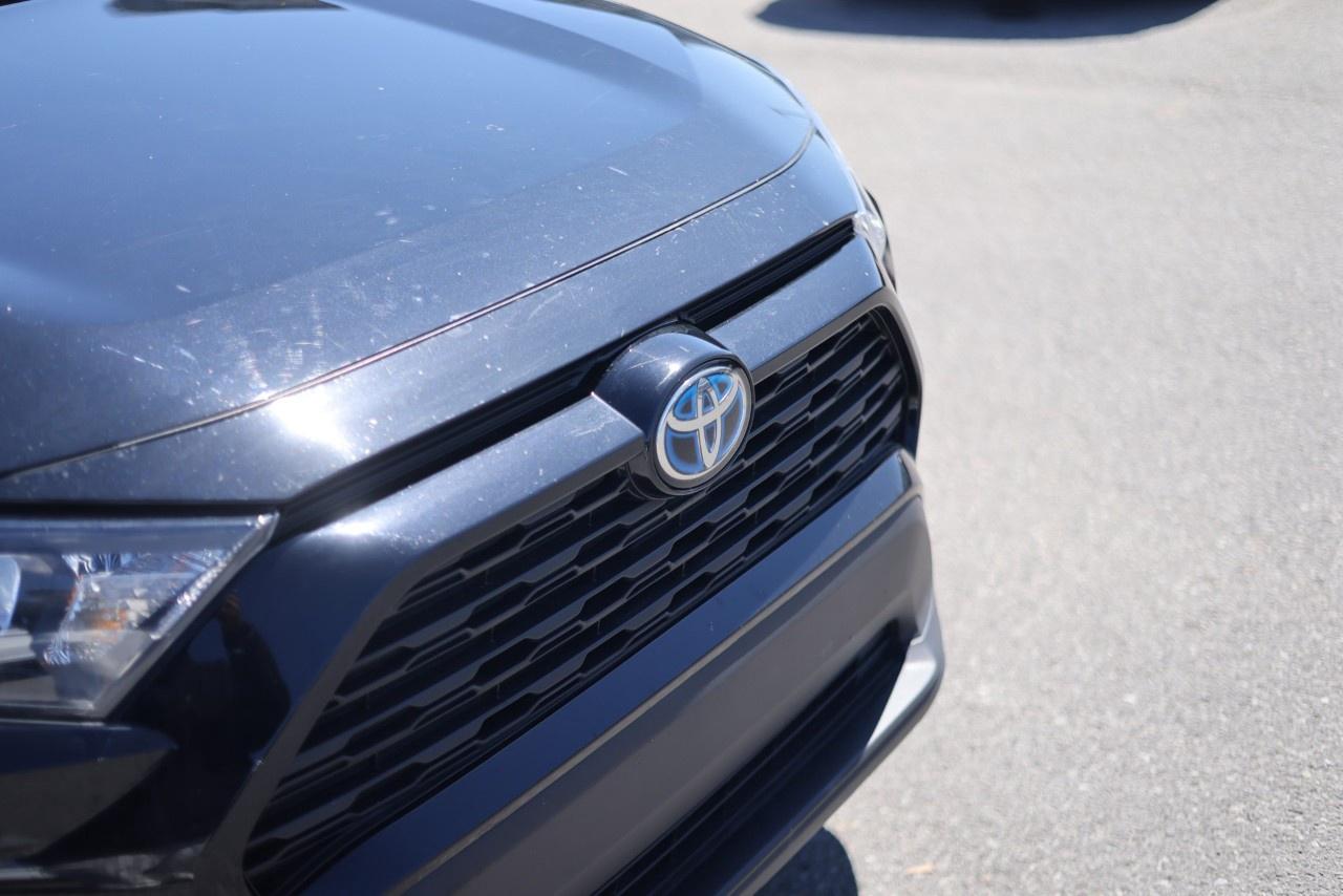 2023 Toyota RAV4 LE AWD Photo