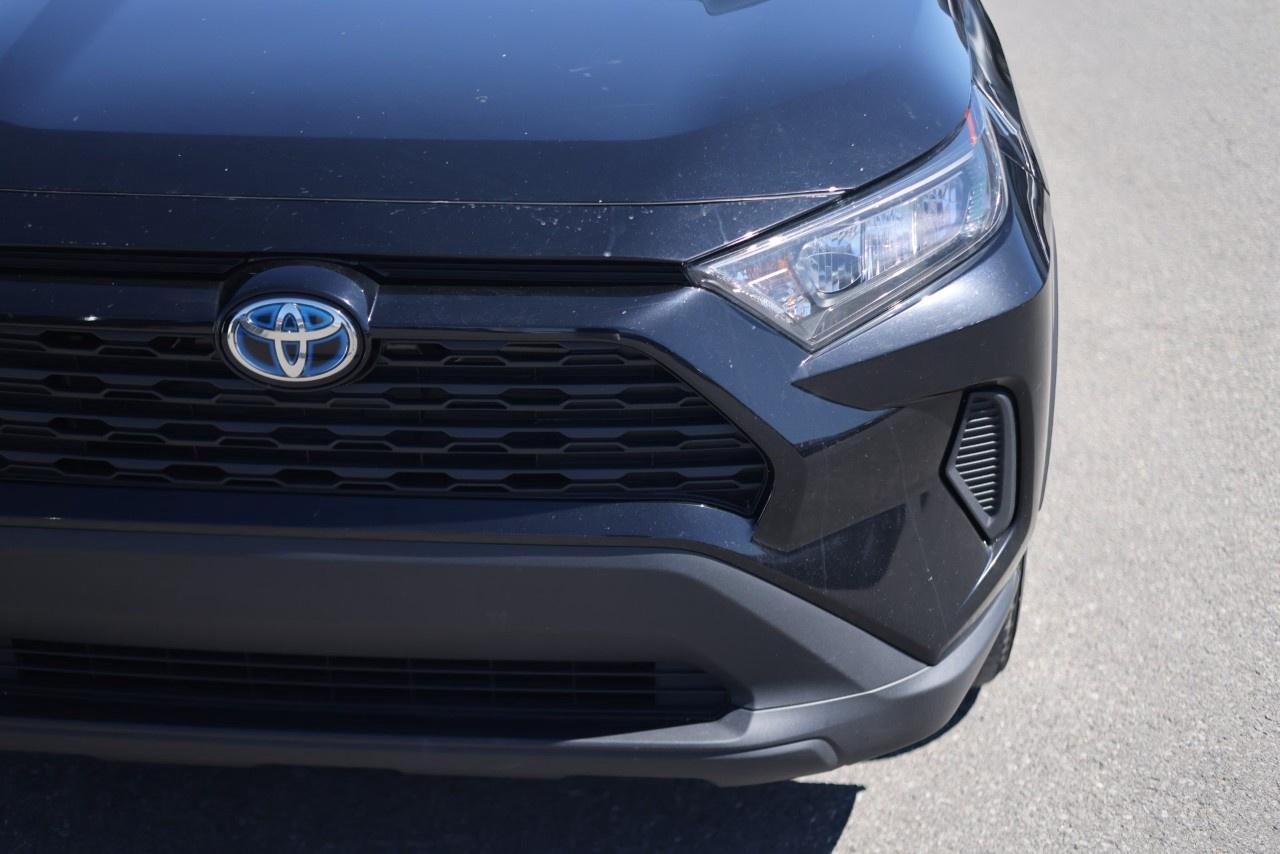 2023 Toyota RAV4 LE AWD Photo
