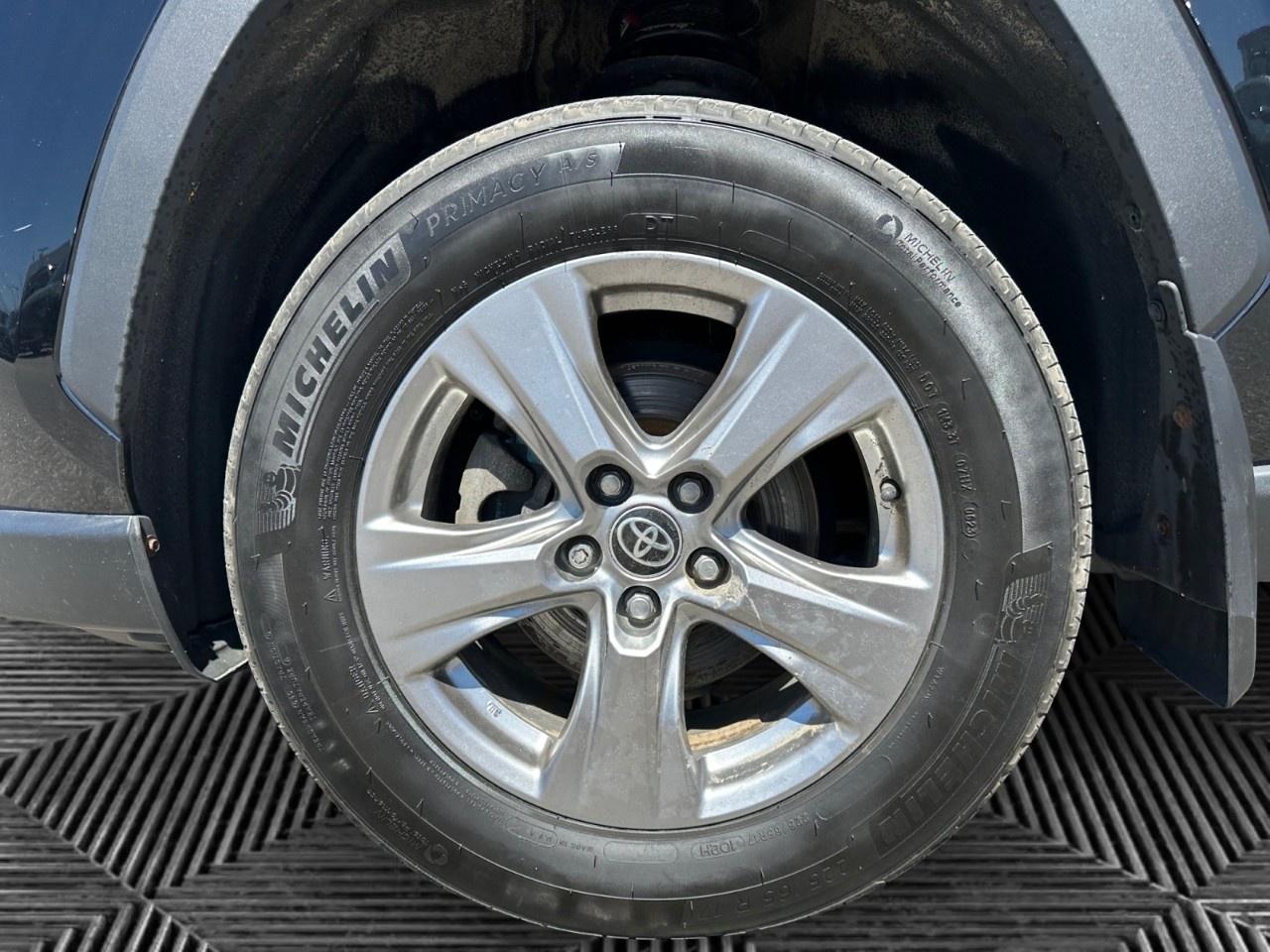 2023 Toyota RAV4 LE AWD Photo