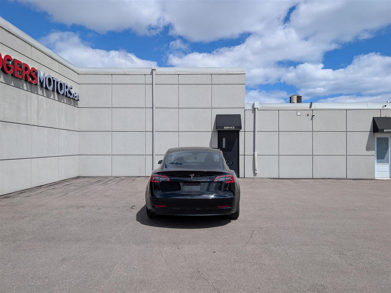 2021 Tesla Model 3 STANDARD Photo