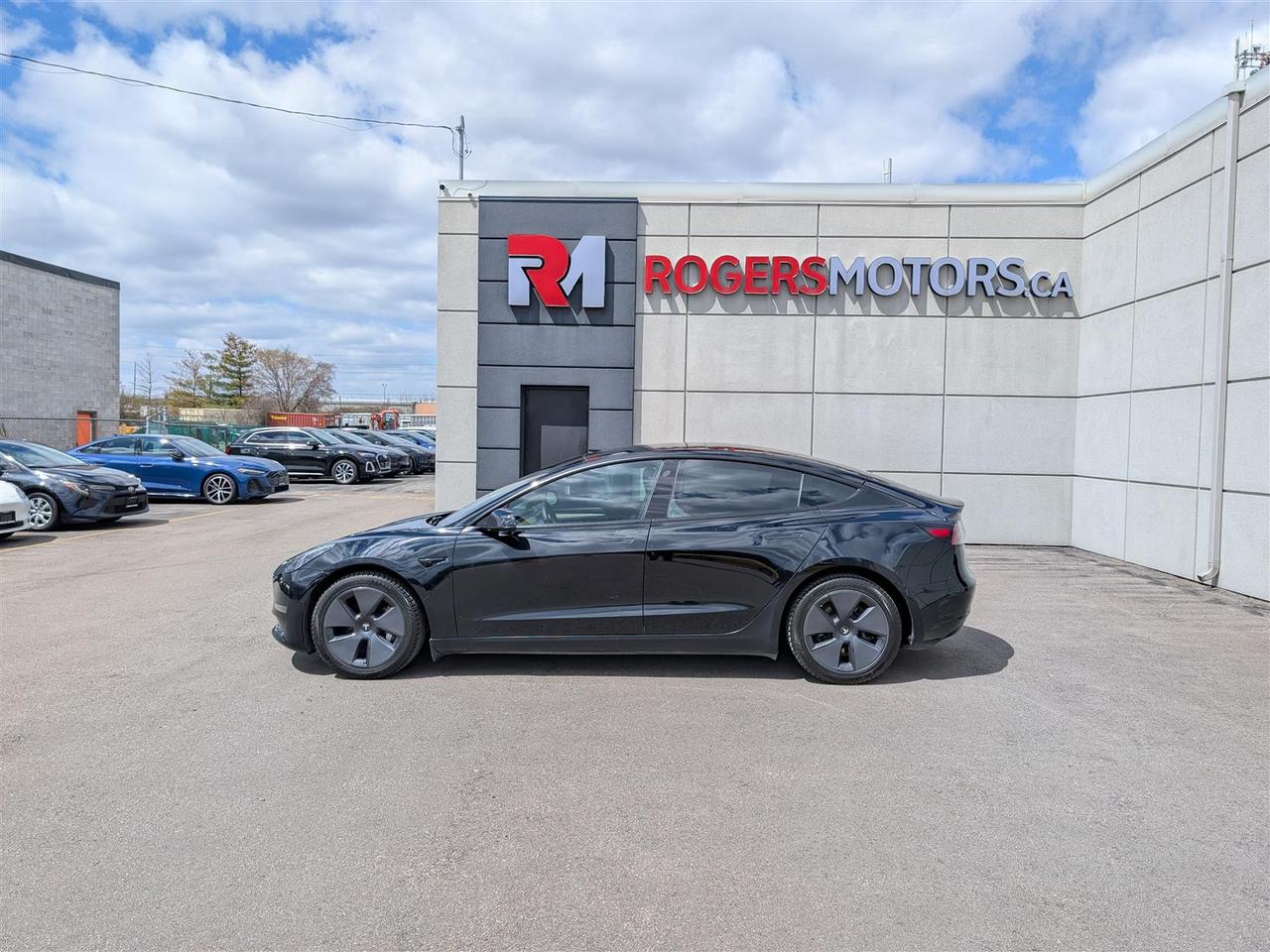 2021 Tesla Model 3 STANDARD Photo