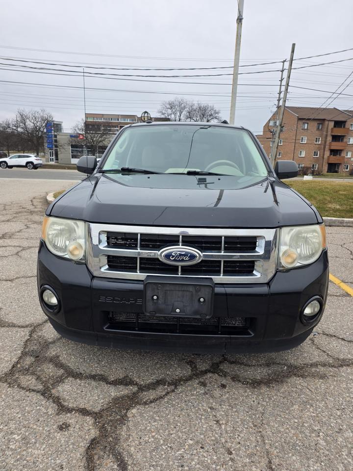 2012 Ford Escape FWD 4dr XLT Photo3
