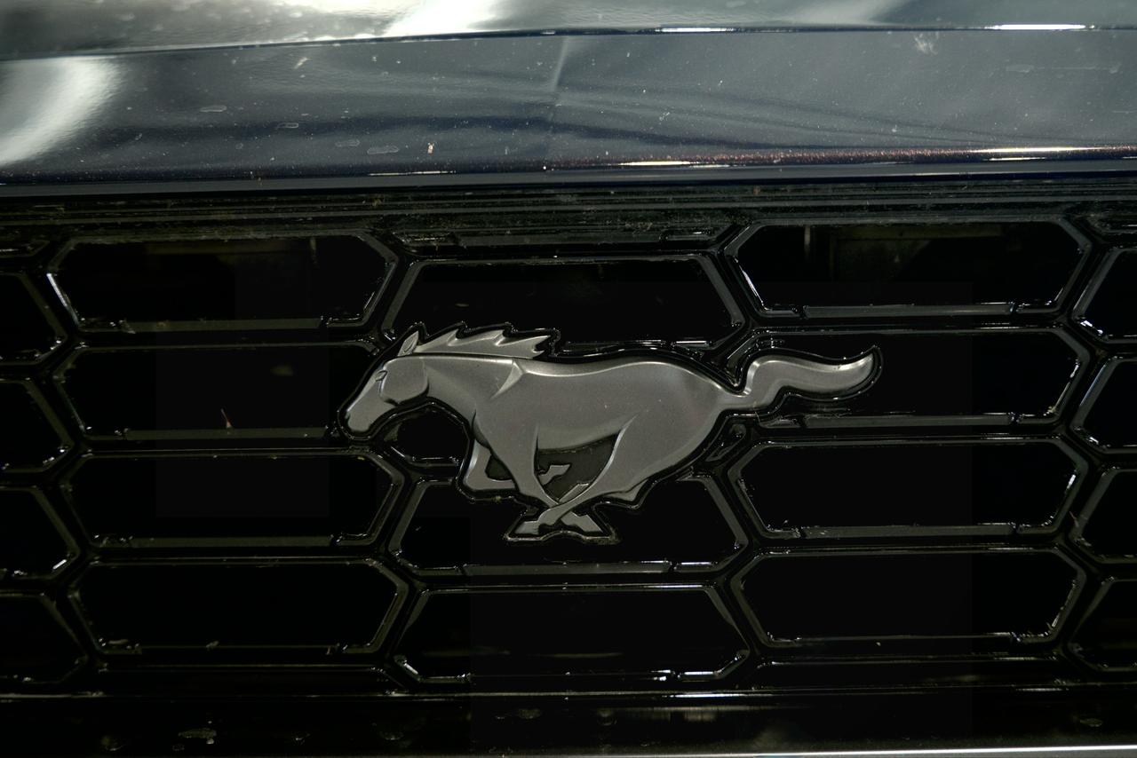 2024 Ford Mustang Dark Horse Photo