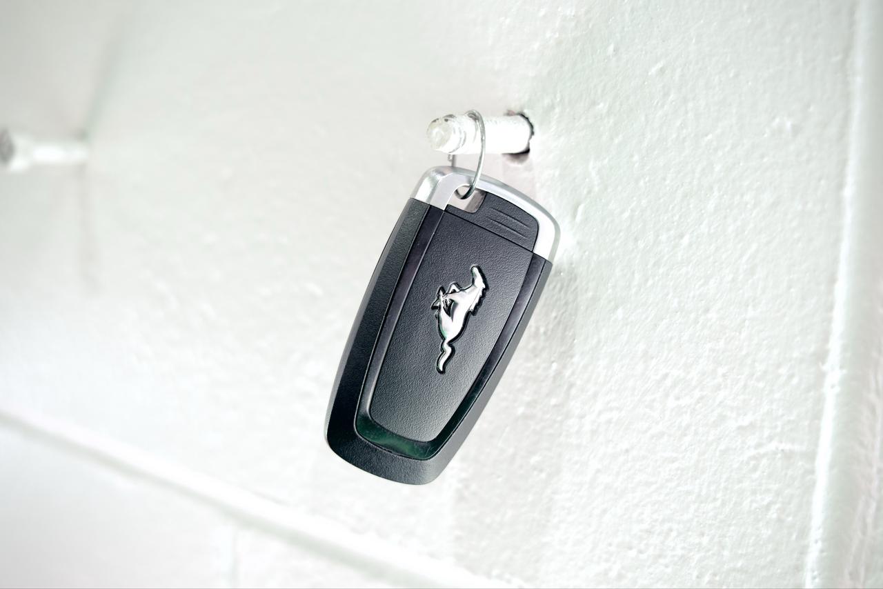 2024 Ford Mustang Dark Horse Photo