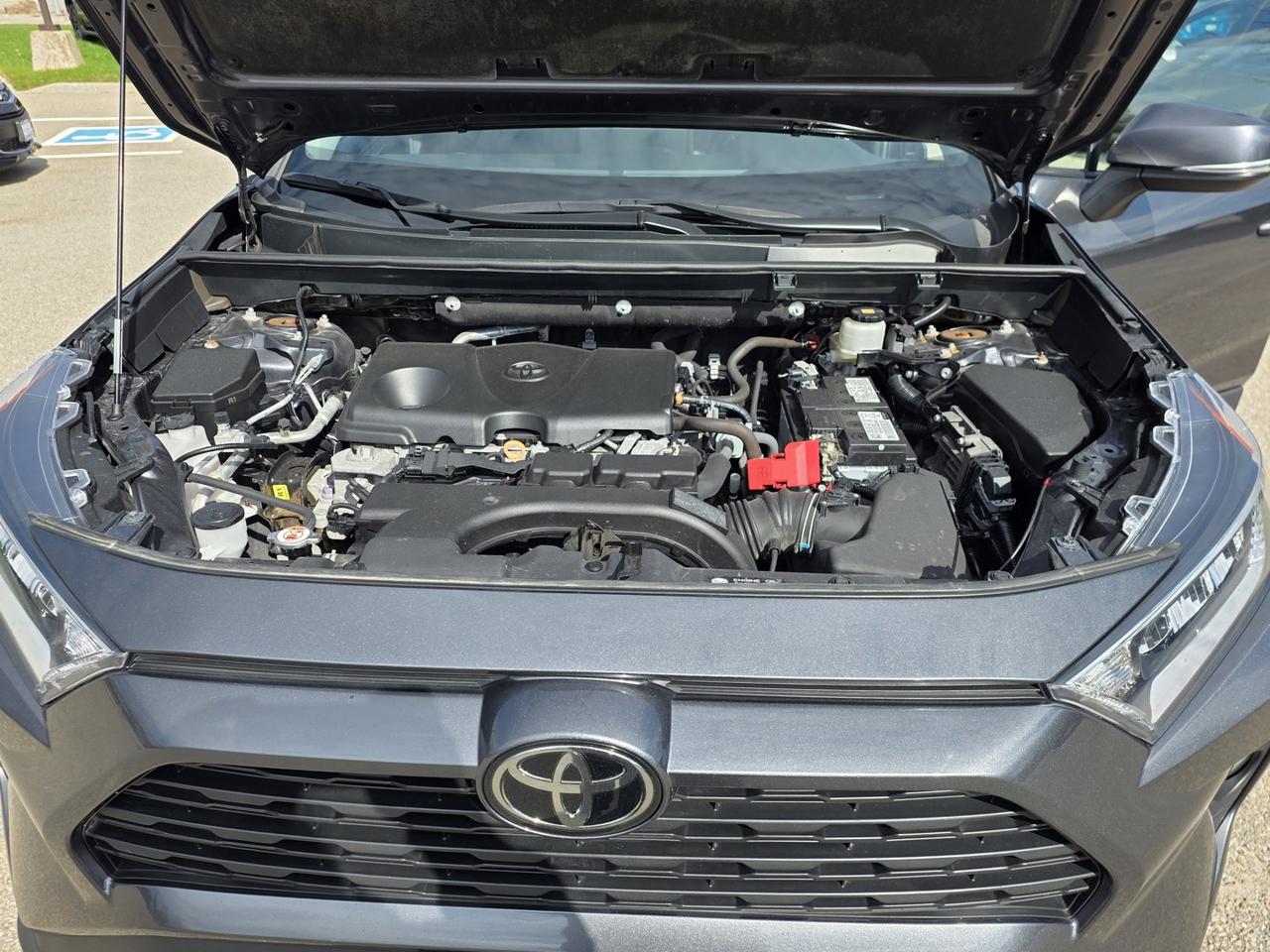 2021 Toyota RAV4 XLE AWD Photo