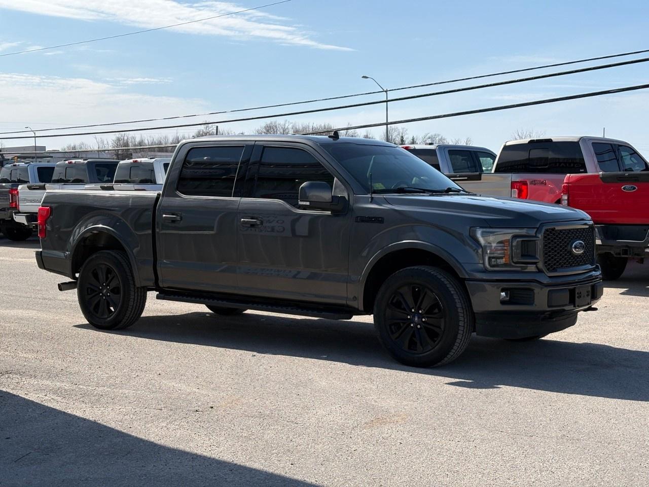 2019 Ford F-150  Photo
